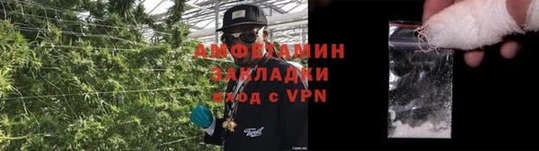 ПСИЛОЦИБИНОВЫЕ ГРИБЫ Кукмор