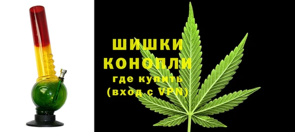 ПСИЛОЦИБИНОВЫЕ ГРИБЫ Кукмор