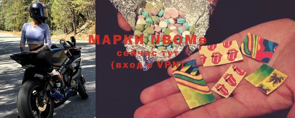 ПСИЛОЦИБИНОВЫЕ ГРИБЫ Кукмор
