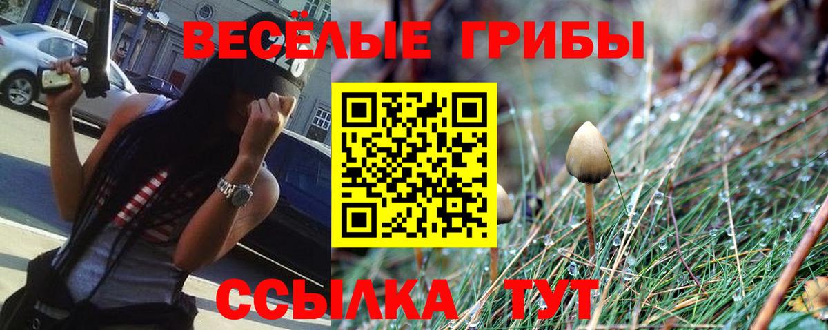 Псилоцибиновые грибы мицелий Тюмень