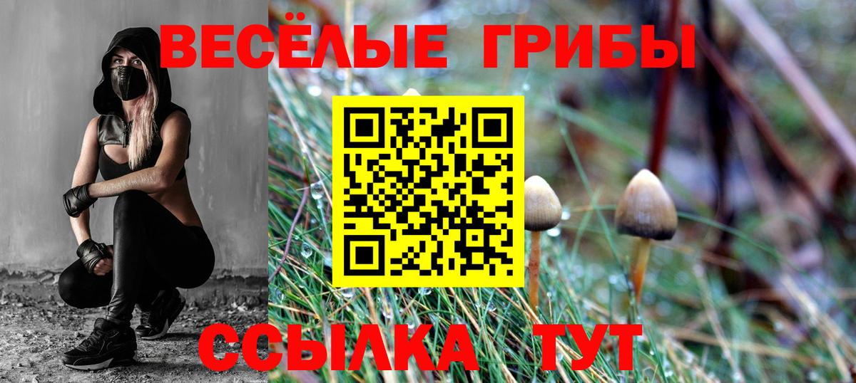 Псилоцибиновые грибы Psilocybine cubensis  Вход с VPN  Тюмень  Псилоцибиновые грибы мицелий 